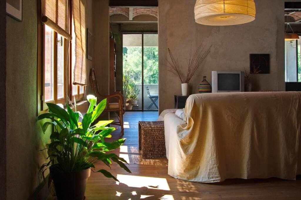 Sleep & Stay Artistico Loft Sant Daniel ชีโรนา ภายนอก รูปภาพ